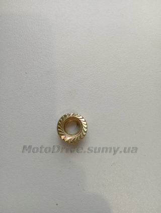 Гайка шины GoodLuck М8х1, 25 под ключ 13 мм.