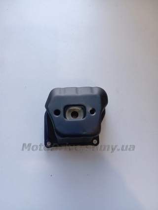 Глушник Goodluck 4500/5200.