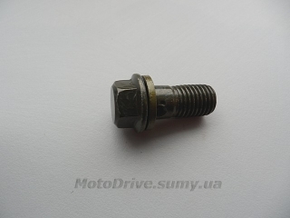 Болт тормозной системы M10.