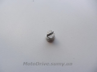 Вставка в ручку газа (грибок) Карпаты.