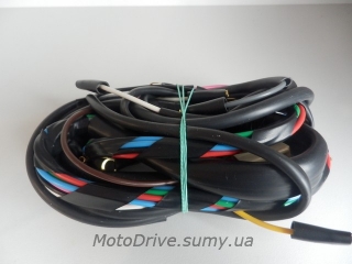 Проводка Іж Україна 12V.