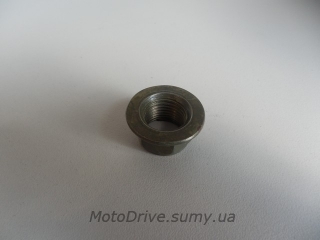 Гайка M16x1.25 (заднего колеса скутера).