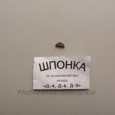 Шпонка коленвала Д6,Д8 (10х2.5х3.1мм).