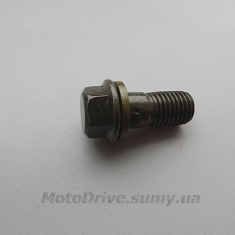 Болт тормозной системы M10.